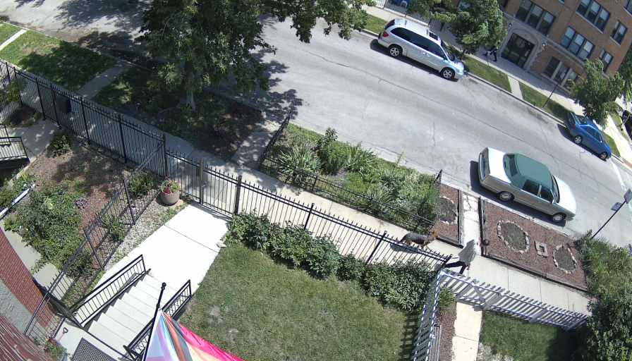 Reolink Camera Two_01_Reolink Home Hub One_20260616121957.jpg